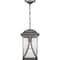 Progress Lighting Abbott Collection One-Light Hanging Lantern P550040-103 - alternate 4